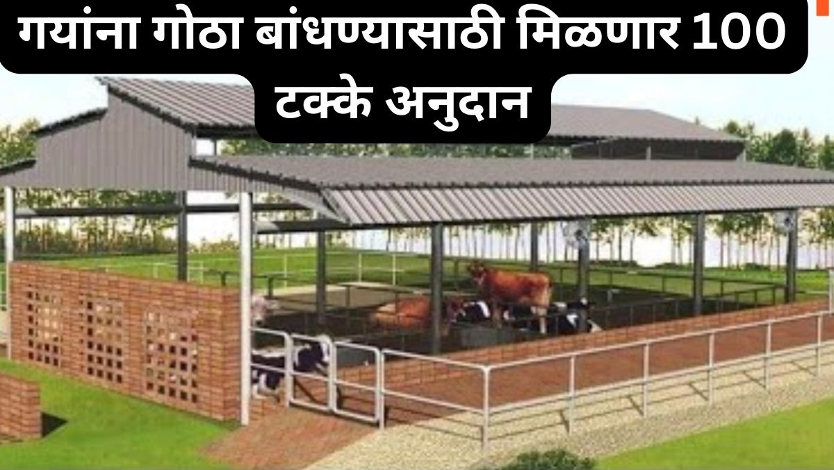 Cow Shead Subsidy In Maharashtra