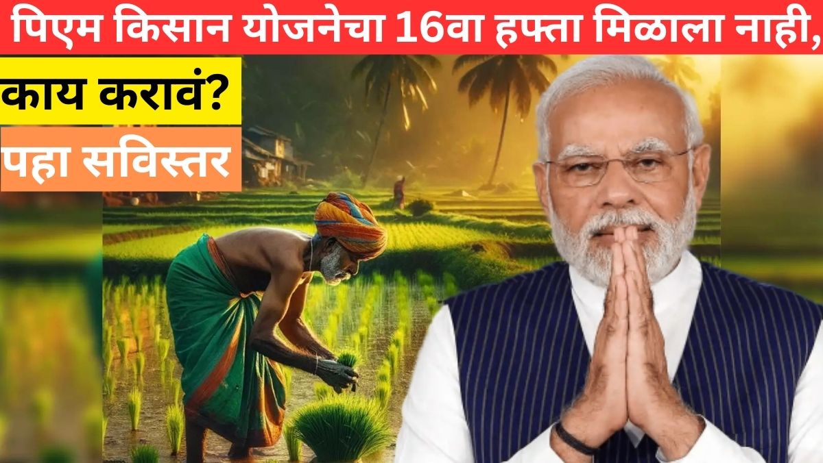 Pm Kisan Installment Not Received